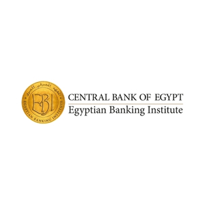 Egyptian Institute of Banking Logo